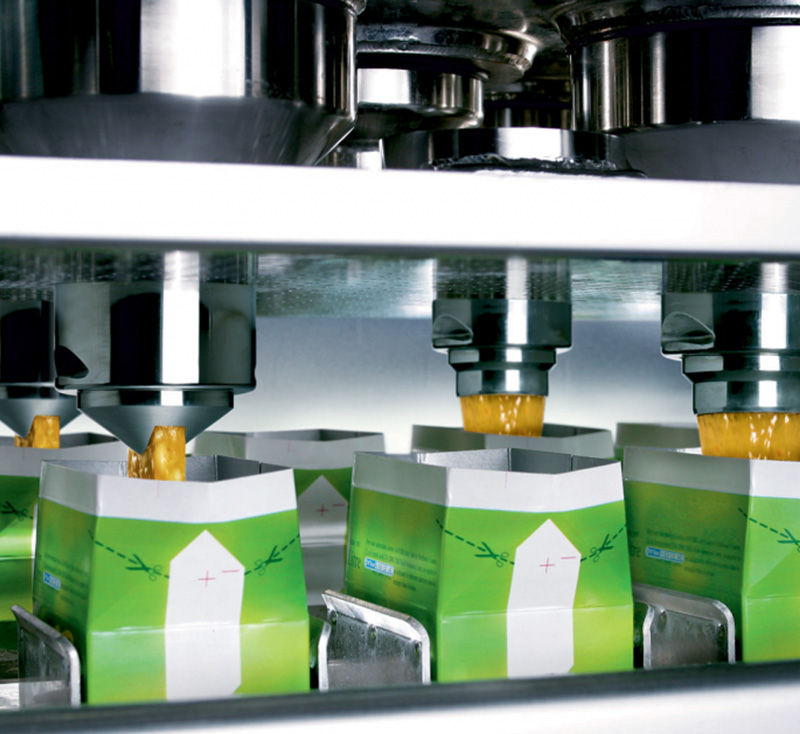 Food & Packaging Machine
